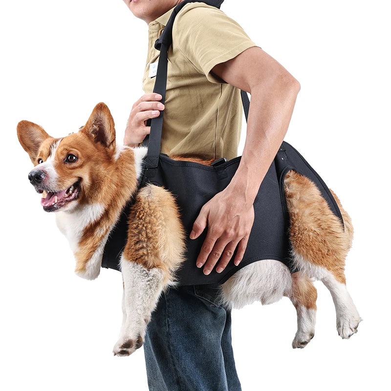 Comfortable Dog Body Support Harness for Injured, Disabled, and Elderly Dogs - Soft Carrying Solution for Injury Recovery