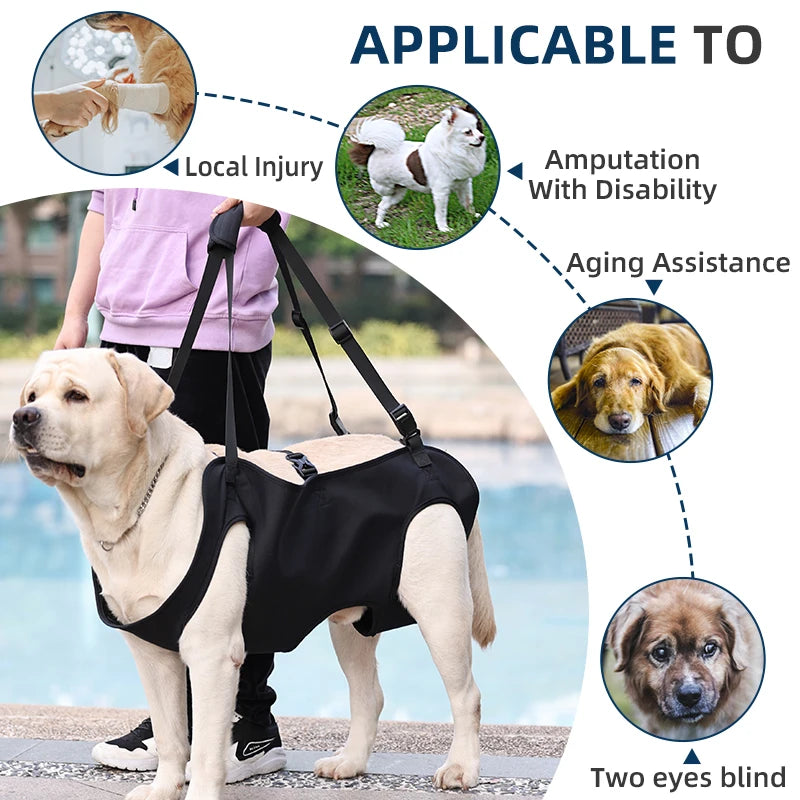 Comfortable Dog Body Support Harness for Injured, Disabled, and Elderly Dogs - Soft Carrying Solution for Injury Recovery
